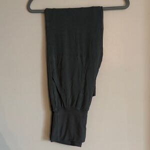 Aerie Sage Pants